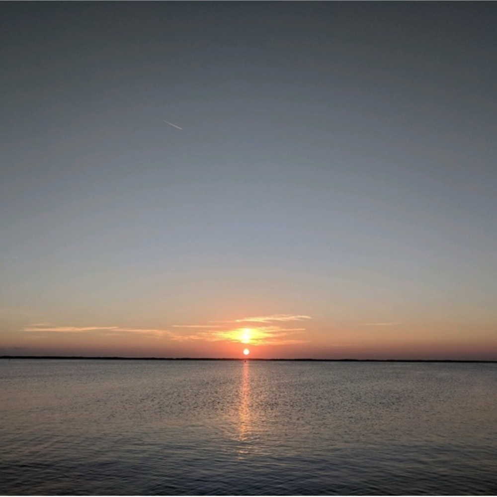 Meet your Posher, Roger